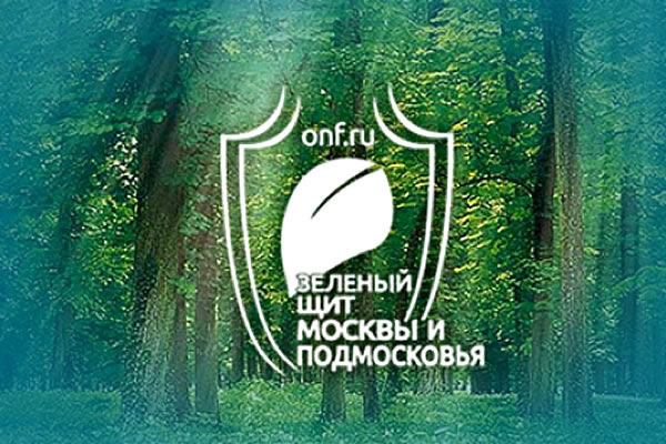 Комитет ГД по федеративному устройству и вопросам местного самоуправления поддержал законопроект ОНФ о «Зеленом щите»